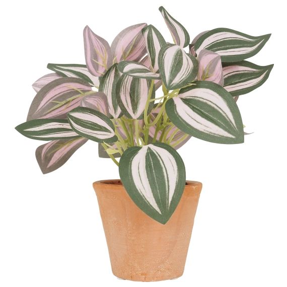 Tradescantia artificiel en pot terracotta 20cm