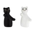 image de divers accessoires scandinave Salière et poivrière chats en porcelaine et silicone