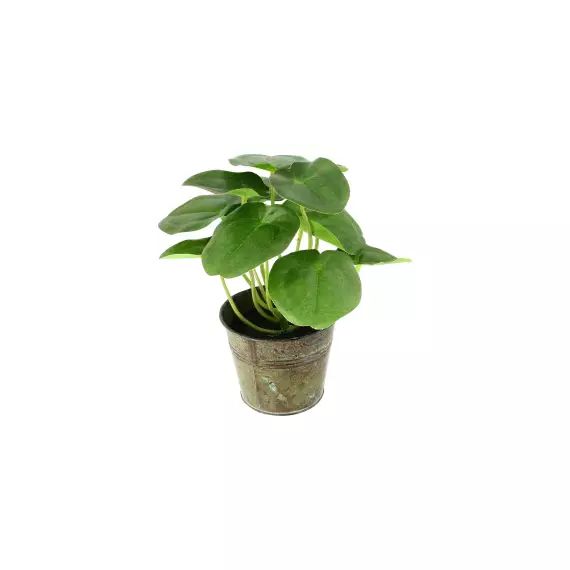 Pilea artificielle avec pot en zinc H20