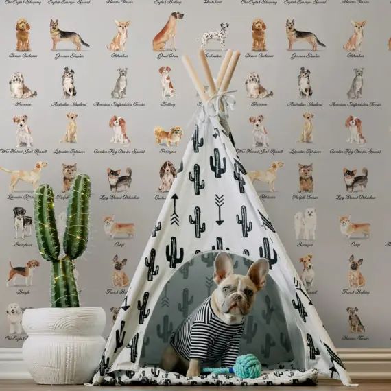 Papier Peint Chiens Fond Gris 250×200 cm