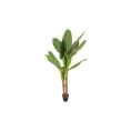 image de plantes artificielles scandinave Bananier artificiel H.180 cm BANANA