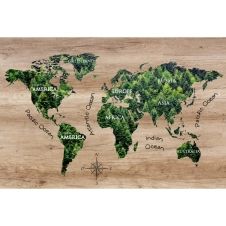 Tableau sur verre synthétique world map forest 65×97 cm