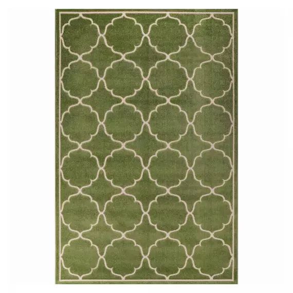 Tapis extérieur vert 80×150