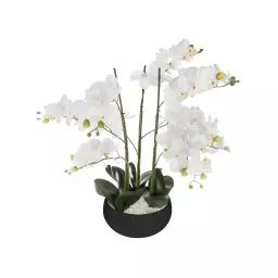 Orchidée en pot H. 65 cm – Atmosphera