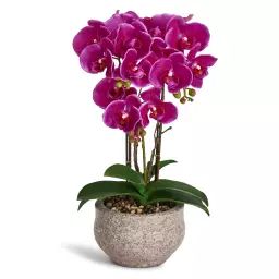 Plante artificielle Orchidée 42 cm