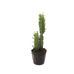 Cactus artificiel Euphorbia H48cm