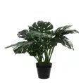 image de plantes artificielles scandinave