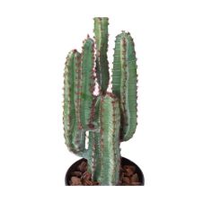 Cactus artificiel