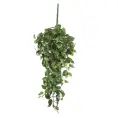 image de plantes artificielles scandinave 