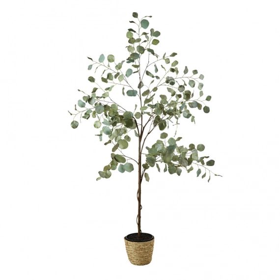 Eucalyptus artificiel et pot tressé H176