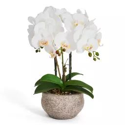 Plante artificielle Orchidée 42 cm