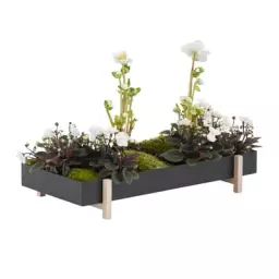 Pot de fleurs Botanic en Métal, Frêne massif – Couleur Noir – 28.85 x 28.85 x 4.8 cm – Designer Atelier 2+