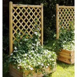 Bac à fleurs rectangle avec treillis droit en bois de pin