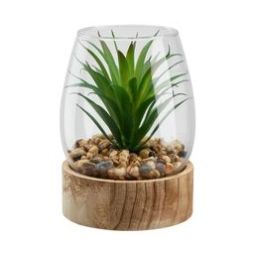 Terrarium succulent H17 cm RONDO Vert / Naturel / Transparent