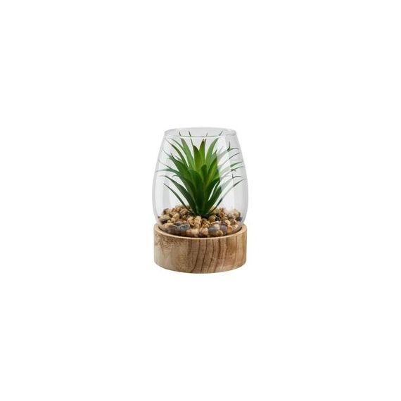Terrarium succulent H17 cm RONDO Vert / Naturel / Transparent