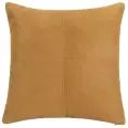 image de coussins scandinave 