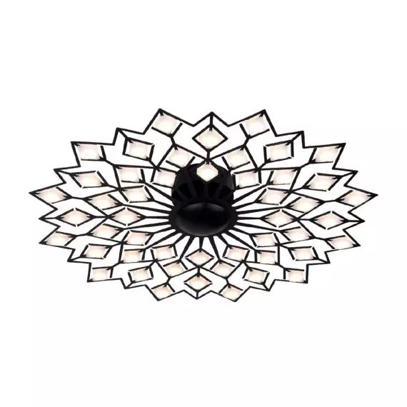 Plafonnier LED noir 56W en forme de fleur en acrylique