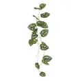 image de plantes artificielles scandinave 
