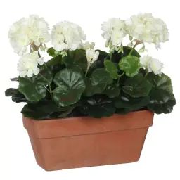 Géranium artificielle blanc en jardinière H40