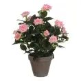 image de plantes artificielles scandinave 