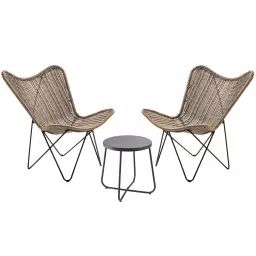 Lot de 2 chaises de jardin en résine et une table basse en acier