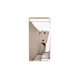 Vase Toilet Paper en Verre, Verre – Liseré  : or 24K – Couleur Multicolore – 27.85 x 27.85 x 30 cm – Designer Pierpaolo Ferrari