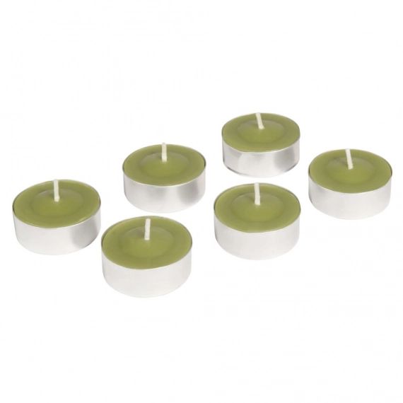 6 bougies coupe verte D 12 cm