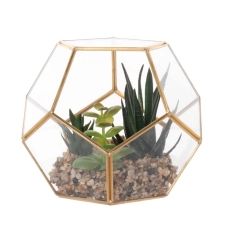 Succulente artificielle et terrarium transparent et doré