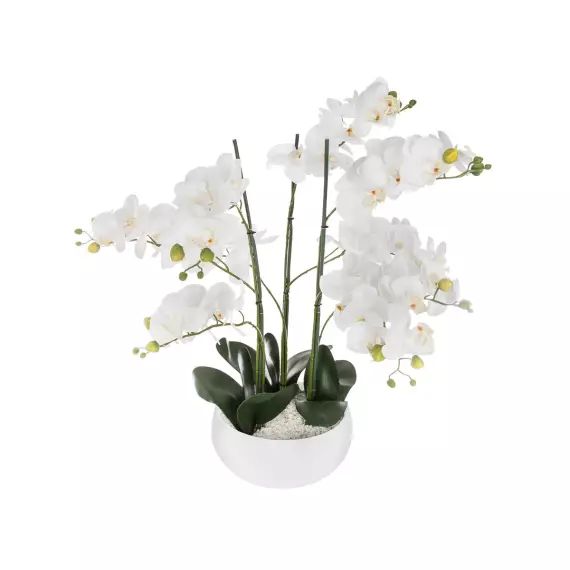 Orchidée en pot H. 65 cm – Atmosphera