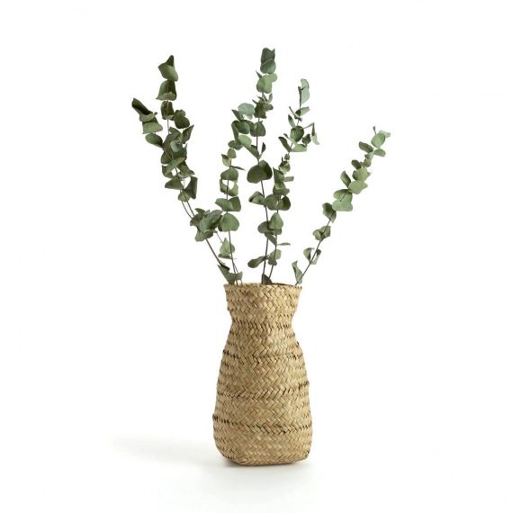 Vase décoratif en herbier, Rixy