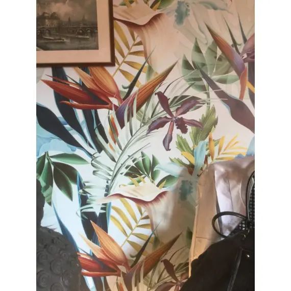 Papier Peint Bleu Tropical 250×200 cm