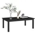 image de table basse de jardin scandinave 