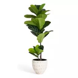 Plante artificielle Ficus Lyrata 90 cm