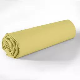 Drap Housse coton jaune 180×200 cm