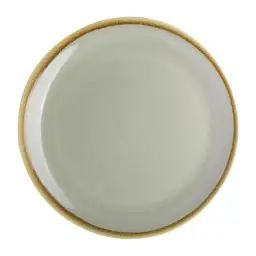 Lot de 6 assiettes plates rondes en porcelaine verte D 23 cm