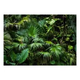 Papier peint jungle ensoleillée