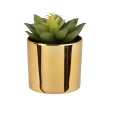 Plante artificielle succulente avec pot doré 6×11.5