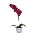 image de fleurs artificielles scandinave 