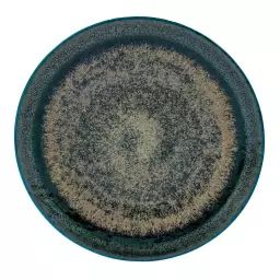 Assiette plate en Porcelaine Vert/Bronze