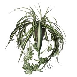 Chlorophytum plantes artificielles verte H45