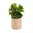 image de plantes artificielles scandinave 