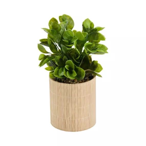 Plante artificielle naturelle VERA Beige