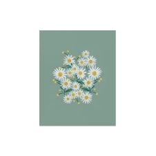 Affiche décorative daisies sage 20x25cm