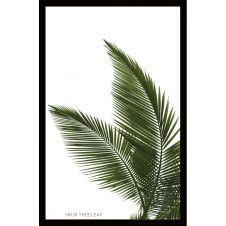 Tableau sur verre synthétique feuille de palmier 42×63 cm