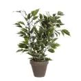 image de plantes artificielles scandinave 