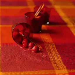 Nappe enduit imperméable pur coton rouge 175×250
