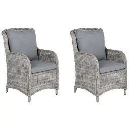 Lot de 2 chaises de jardin grises avec coussin