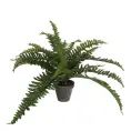 image de plantes artificielles scandinave