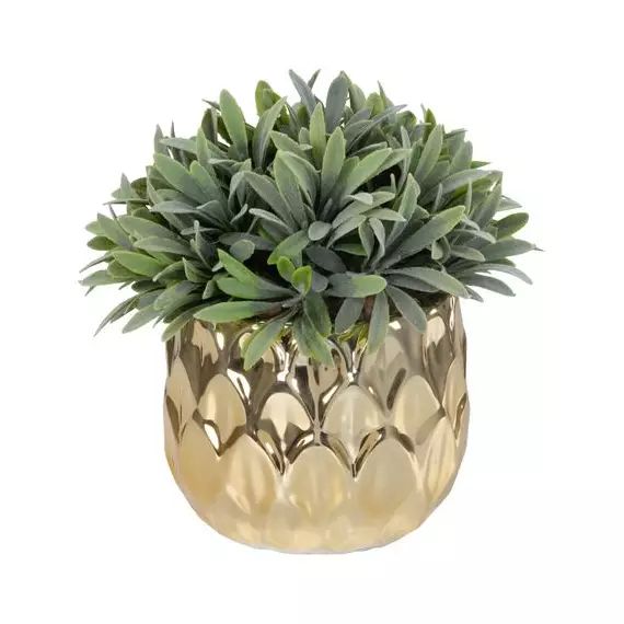Plante H19 cm ANANAS Doré / Vert