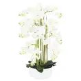 image de fleurs artificielles scandinave 